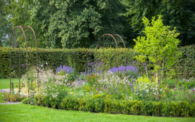 How to Protect Your Garden During a Heatwave