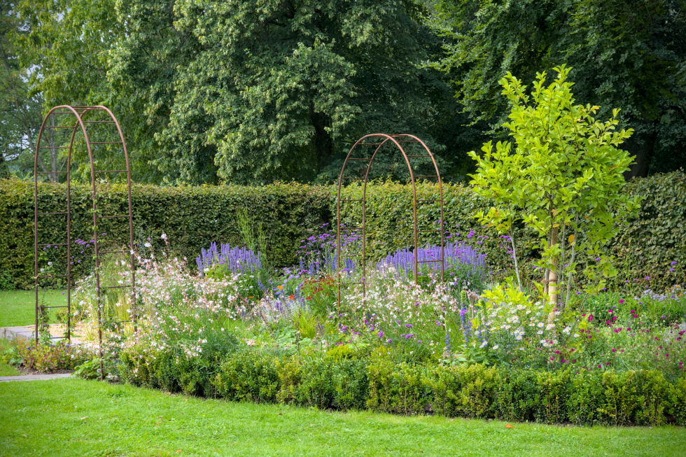 How to Protect Your Garden During a Heatwave