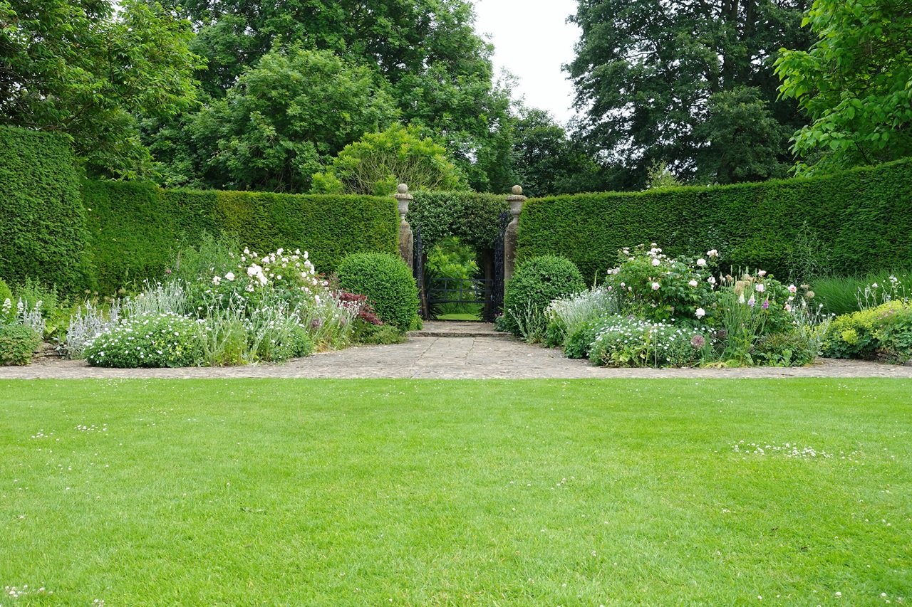 Adams Gardening