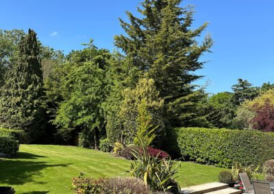 Before and after lawn care service by Adam’s Gardening