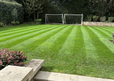 Perfectly level lawn surface after mowing by Adam’s Gardening
