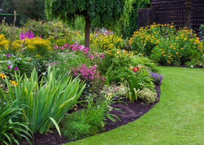 Adam’s Gardening providing regular lawn maintenance
