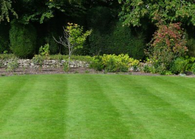 Clean garden edges and cut grass by Adam’s Gardening