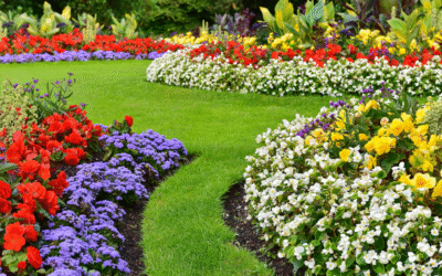 Mid-Summer Garden Checklist: What You Should (and Shouldn’t) Be Doing Right Now